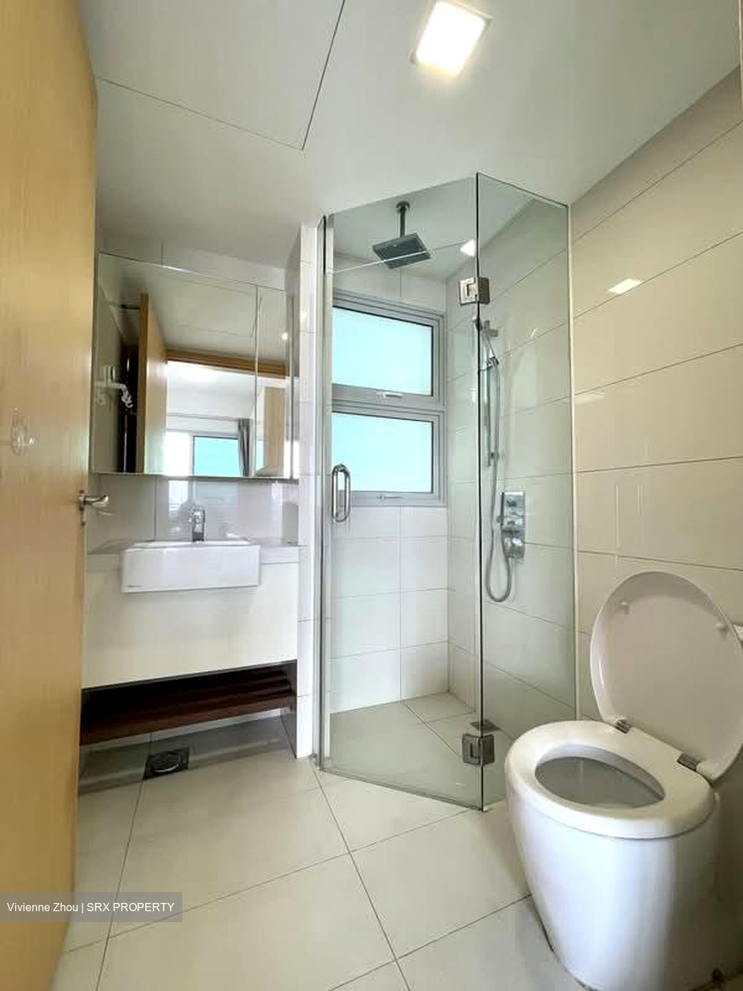 Eight Riversuites (D12), Condominium #575946441